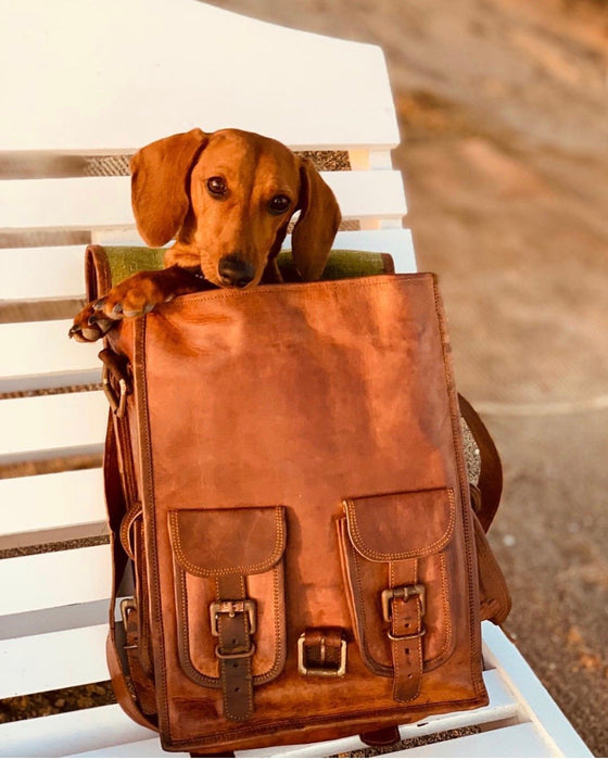 Leather dog backpack